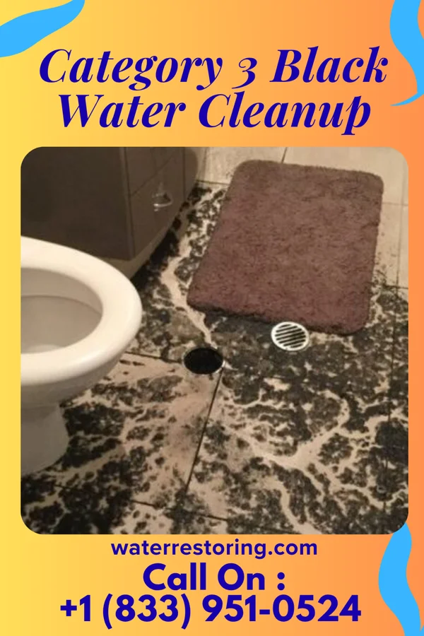 Category 3 Black Water Cleanup in Bunnell, FL